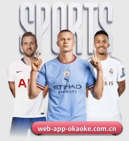 web-app-okaoke.com.cn的故事